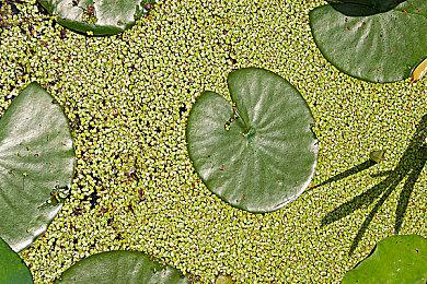 《量子误差》当前在Xbox Series S上运行效果很差